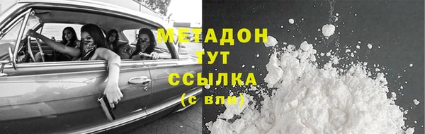 индика Инсар
