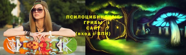 индика Инсар