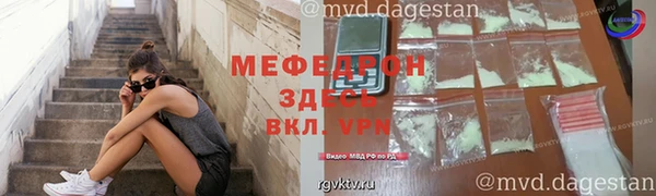индика Инсар