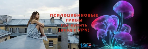 индика Инсар