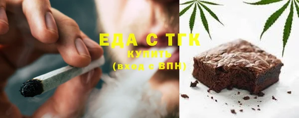 индика Инсар