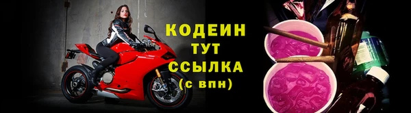 индика Инсар