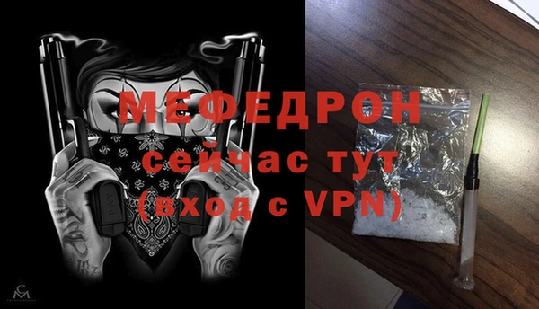 индика Инсар