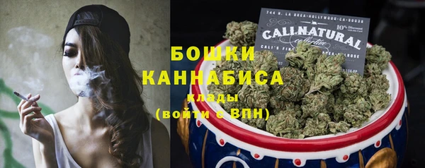 индика Инсар