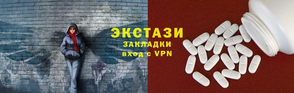 индика Инсар