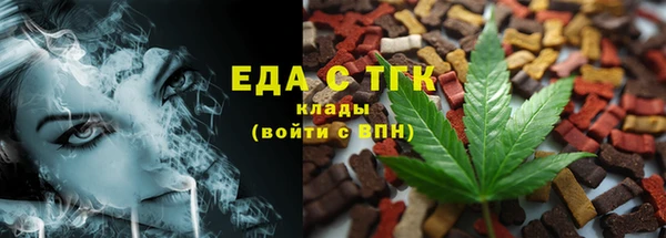 индика Инсар