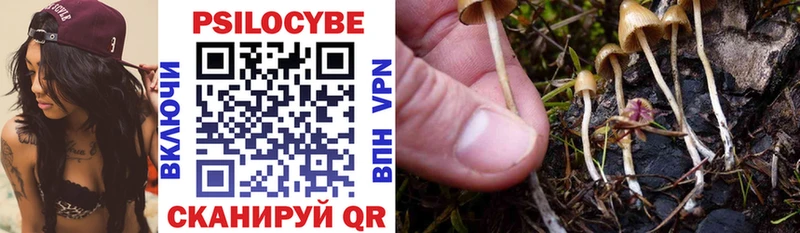 Купить где  Вольск  Галлюциногенные грибы ЛСД 